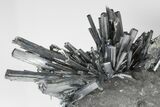 Metallic Stibnite Crystal Spray On Matrix - Xikuangshan Mine, China #175897-2